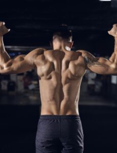 Praesent libro se cursus ante